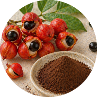 Guarana