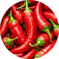 Chilli pepper
