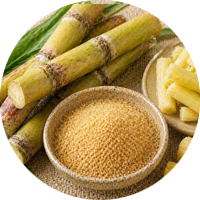 Sugar cane