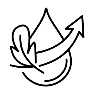 Dry Oil Formula