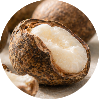 Babassu