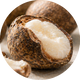 Babassu