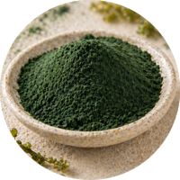 Phytoplankton