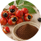 Guarana