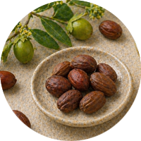 Jojoba
