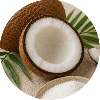 Coconut complex