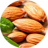 Sweet almond