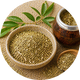 Yerba Mate